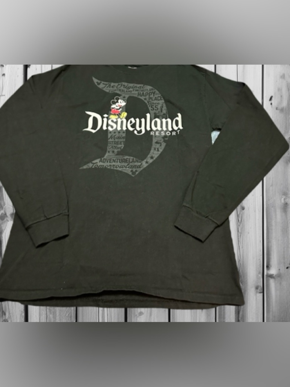 Hanes Black Beefy-T Disney Parks Graphic Tee M